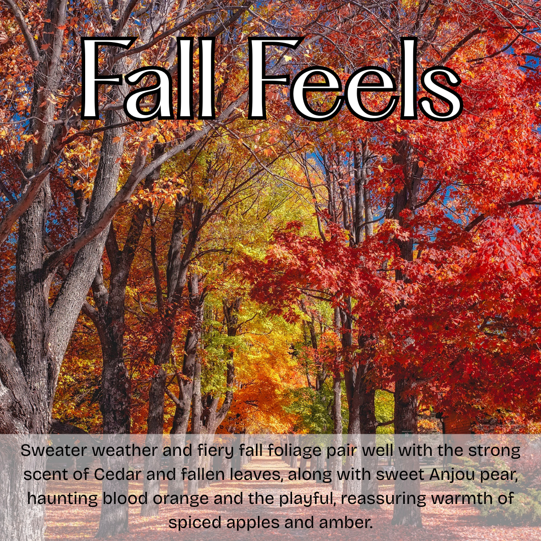 Fall Soap Collection, handmade soap,